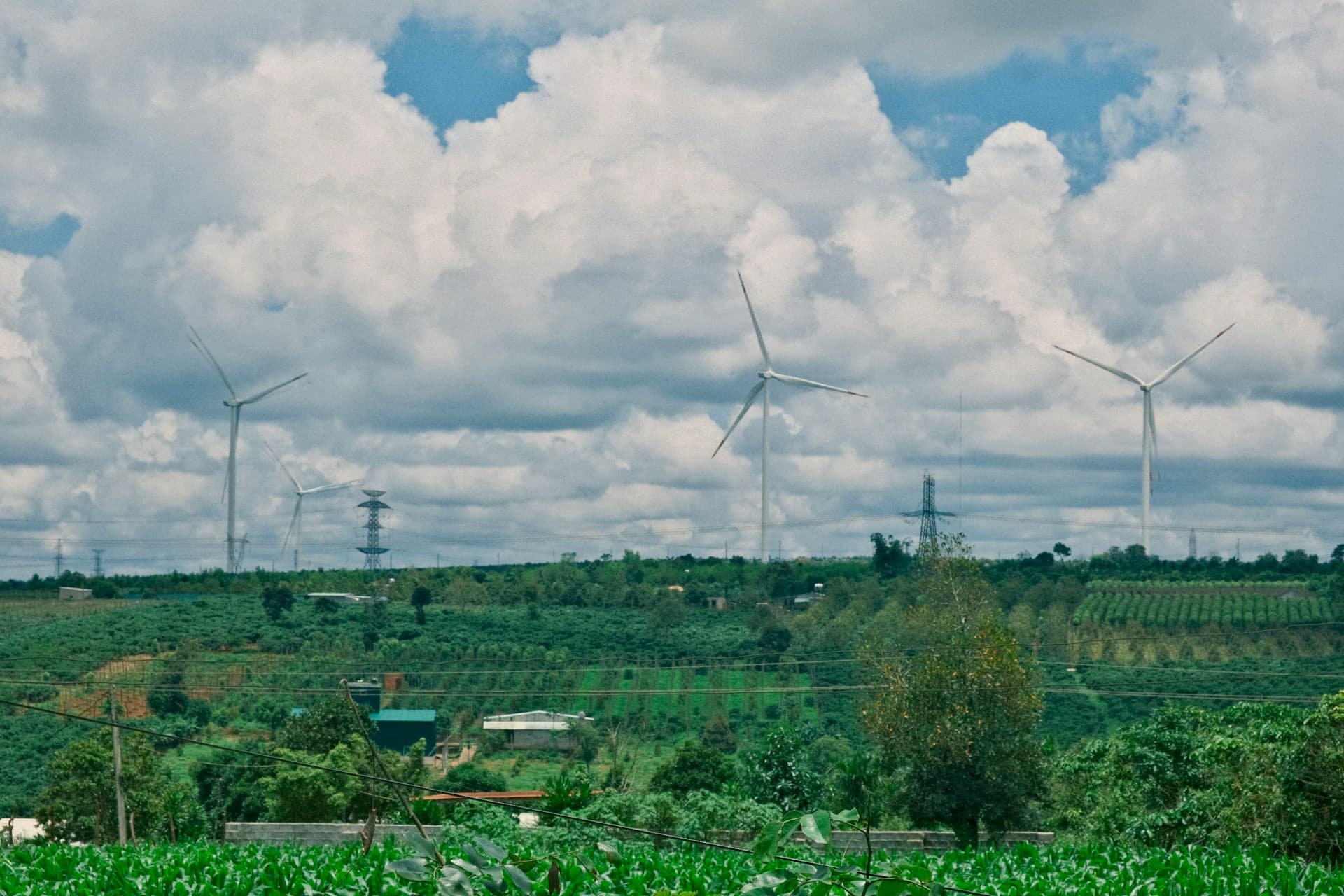 The Green Economy Transition: How Kenya is Balancing Conservation and Development in the Climate Era